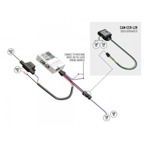 INTERFACE CAN-BUS LAZER DOUBLE SORTIES (avec faisceau)